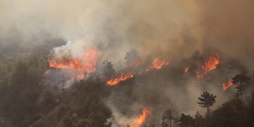 orman-yanginlari-devam