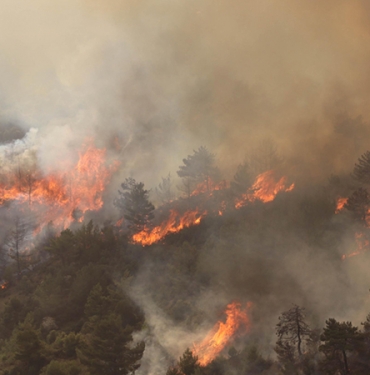 orman-yanginlari-devam