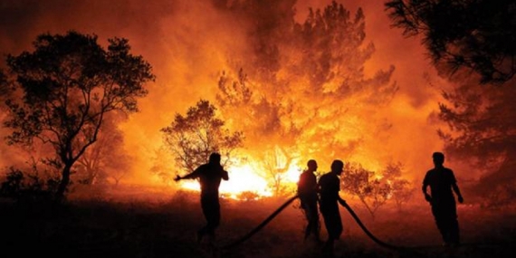 Orman Yangını Haberlerine RTÜK’ten Ceza!