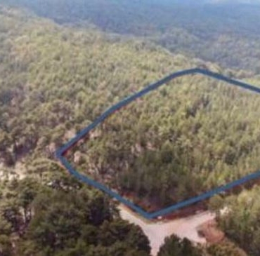 07-orman1_18928464_16_9_1630369068-880x495-1-680x365_c