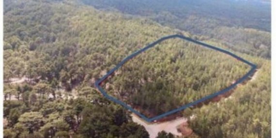 Yanmayan Ormanlarıda Talana Açtılar: Bakanlık, Ormanlık Alanları Otel Yatırımına Açtı
