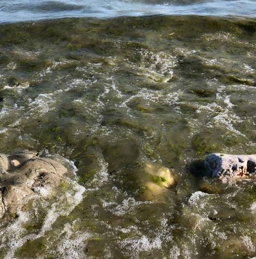 lagim-borusu-patladi-egirdir-golunu-atiklar-kapladi_1442_dhaphoto1