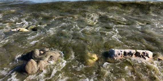 Eğridir Gölü’ne Lağım Akıyor: ‘Elinizi Dahi Sokmayın’