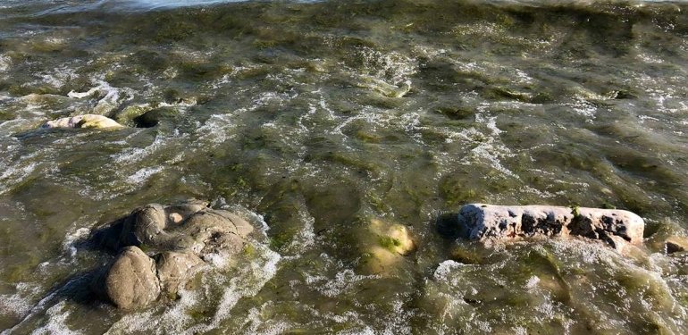 Eğridir Gölü’ne Lağım Akıyor: ‘Elinizi Dahi Sokmayın’