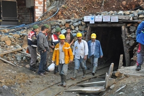 thumbs_b_c_42b3620f4022a6aeab7603aa20345b27