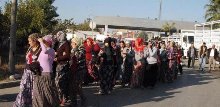 Toptancı Halinde 300 Yevmiyeci Kadın Grev Yaptı: Çalışırken Ölüyoruz!