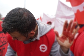 1651416226287-zsdfsdf