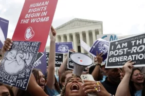 10070000-0aff-0242-d559-08da55ff8445_w650_r1_s