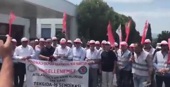 Efe Rakı’da Sendika Düşmanlığı: 24 İşçi İşten Atıldı