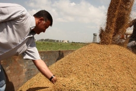 bugday-ureticisi-gergin-bekliyor-1017437-5