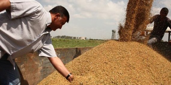 Tarım ve Orman Bakanlığı,Taban Fiyatını Açıklamak Yerine Sanayiciye Ucuz Satımın Süresini Uzattı