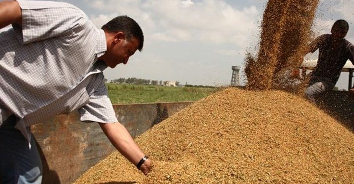 Tarım ve Orman Bakanlığı,Taban Fiyatını Açıklamak Yerine Sanayiciye Ucuz Satımın Süresini Uzattı