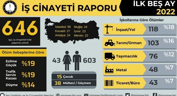 isig-ilk-5-aylik-is-cinayeti-rapru