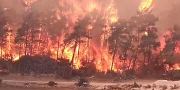 mugla-milas-ta-orman-yangini-904136-5