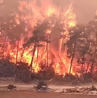 mugla-milas-ta-orman-yangini-904136-5