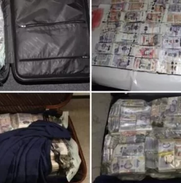 61b9babad265a20c1ceb384f