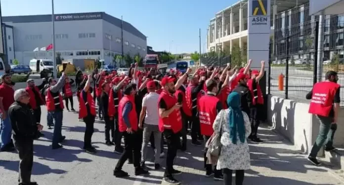 FB_IMG_1659673352060