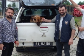 biber-gazi-sikan-bekciyi-isiran-kopek