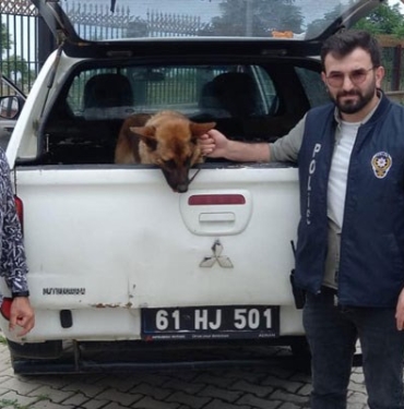 biber-gazi-sikan-bekciyi-isiran-kopek