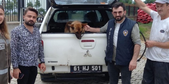 Gençlere Biber Gazı Sıkan Bekçiyi Isıran Köpeğe Gözaltı!