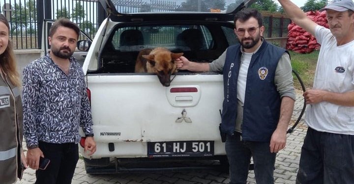 Gençlere Biber Gazı Sıkan Bekçiyi Isıran Köpeğe Gözaltı!
