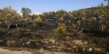 nesin-vakfi-1024x510