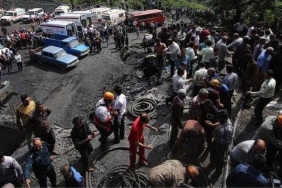 d26e5d5c8f9af922-1672043277