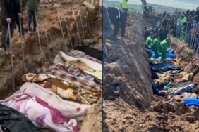 CREATOR: gd-jpeg v1.0 (using IJG JPEG v62), quality = 90