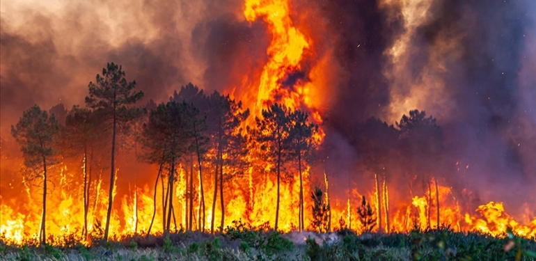 Orman Yangınları Kader Mi? AKP’nin Rant Politikası Mı?