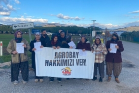 agrobay-iscileri-eylemi-160-gun