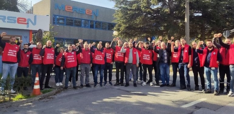 mersen-greve
