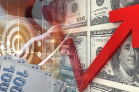 Dövizin Yükselişi Sürüyor: Euro 10 TL'yi Gördü 1 thumbnail