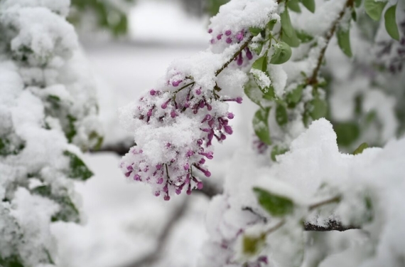 Ankarada Kar Yağışı