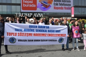 queen-tarim-iscileri