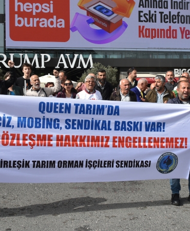 queen-tarim-iscileri