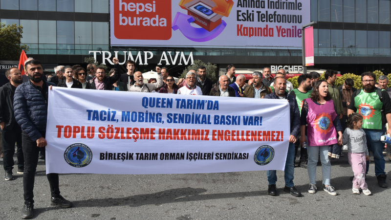 queen-tarim-iscileri