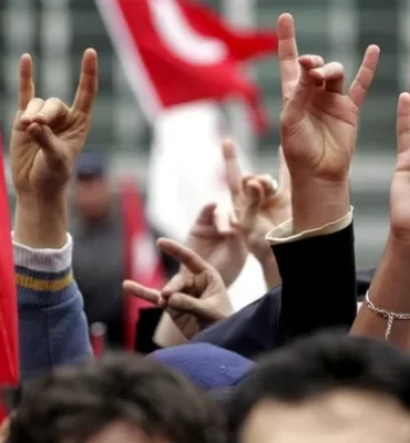 almanya ülkücüler