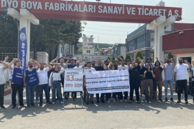 dyo-kocaeli üniversitesi öğrencileri