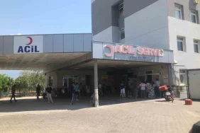 ege sermaik zehirlenme