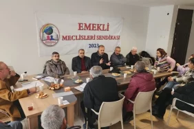 emekli meclisleri