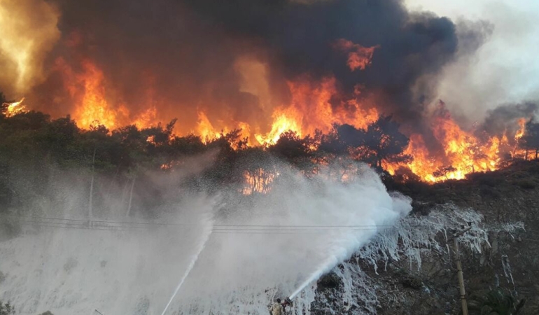 Orman Yangınları Soruşturması: 21 Tutuklama, 47 Kişiye Adli Kontrol