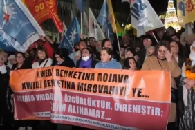 demokratik-kurumlar-platformu