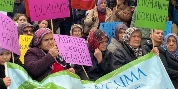 Devrek Çayı’nda Yaşam Mücadelesi: Köylüler HES’e Karşı Ayakta