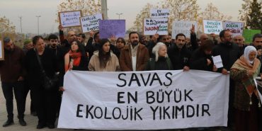 ekoloji-orgutleri-aciklama