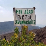 kazdaginda-buyuk-kazanim-mahkeme-madencilik-iznini-durdurdu