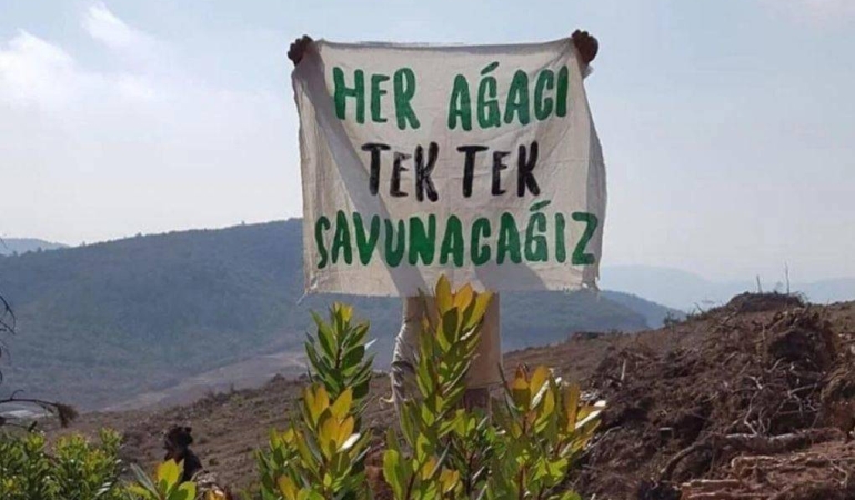 Kazdağı’nda Büyük Kazanım: Mahkeme, Cengiz Holding’in Halilağa Bakır Madeni İşletme İznini İptal Etti!