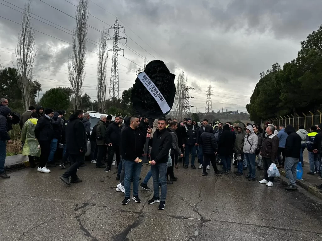 whatsapp image 2026 01 24 at 090044 1