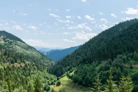 Artvin’de 23 Bin Hektar Tehlikede: 67 İlde 485 Ruhsat Satılığa Çıkarılmıştı 3 artvin1