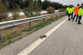 Otoyolda Temizlik Yapan İşçilere Araç Çarptı: 1 İşçi Hayatını Kaybetti, 3 Yaralı 7 iş cinayeti