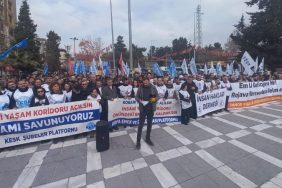 Urfa Emek ve Demokrasi Platformu'ndan Çağrı: Mürşitpınar Sınır Kapısı Açılsın 4 kesk-suruc-eylemi